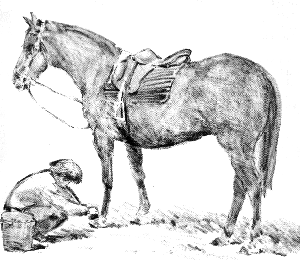 picture1