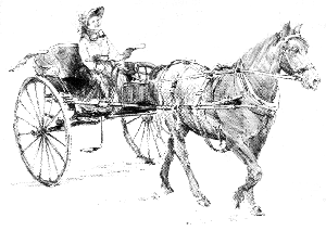 picture3
