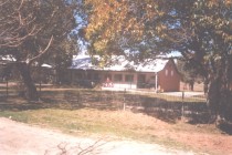 The School in 1998